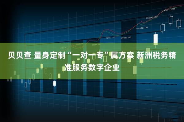 贝贝查 量身定制“一对一专”属方案 新洲税务精准服务数字企业