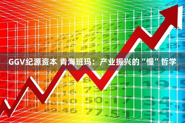 GGV纪源资本 青海班玛:产业振兴的“慢”哲学