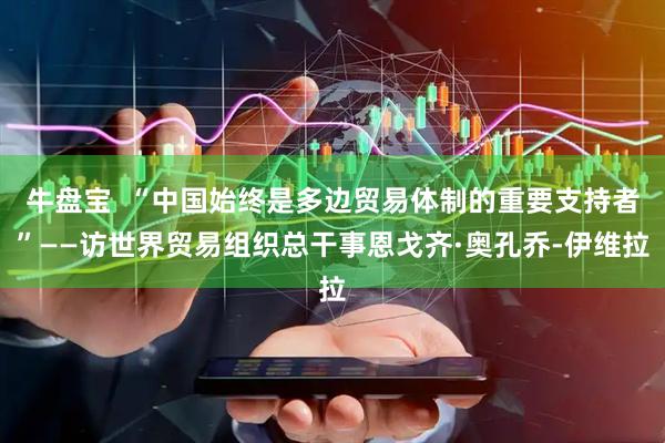 牛盘宝 “中国始终是多边贸易体制的重要支持者”——访世界贸易组织总干事恩戈齐·奥孔乔-伊维拉